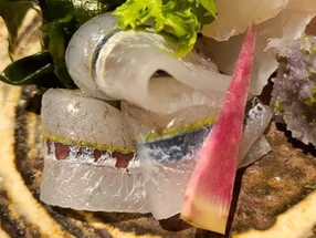 야취 타쿠 1
